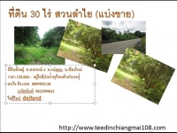ขายที่ดินเชียงใหม่ เนื้อที่ 30 ไร่ แบ่งขาย 