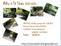 ขายที่ดินเชียงใหม่ ติดลำธาร เนื้อที่ 9 ไร่ 