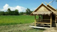 ที่ดิน 12 ไร่ ติด ถ.เชียงใหม่- ลำพูน (แยกสารภี)
