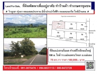 ที่เนินโฉนด 75 ตร.วา วิวเขา ใกล้ถนนใหญ่ 100ม. ต.แม่หอพระ
