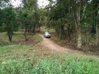 ขายที่ดินเชียงใหม่ อำเภอดอยสะเก็ด เนื้อที่ 3 ไร่  เจ็ดแสนบาท