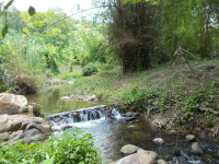ขายทีดินติดลำธาร 300 เมตร  เนื้อที่ 9 ไร่ (ราคาไร่ละ ห้าแสนบาท)  