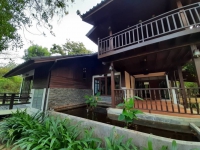 For RENT!! Big Beautiful Wooden house in the tropical style garden At Changpuek area. ‼Best deal‼ 