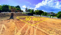 เจ้าของขายเอง ที่ดินเชียงใหม่ (สารภี) 50 ตรว.- (ติดถนนเลียบแม่น้ำปิง ถมแล้ว มีไฟฟ้า มีประปา)