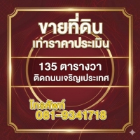 ที่ดินโซนพาณิชกรรมการค้า ติดถนนกลางเมืองเชียงใหม่ เหมาะสร้างตึก/โรงแรมขนาดเล็ก ขายราคาประเมินราชการ